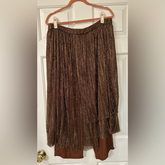 Anthropologie Dresses & Skirts - Anthropologie Maeve Skirted Pants EUC